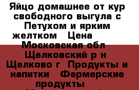 Яйцо домашнее от кур свободного выгула с Петухом и ярким желтком › Цена ­ 100 - Московская обл., Щелковский р-н, Щелково г. Продукты и напитки » Фермерские продукты   . Московская обл.